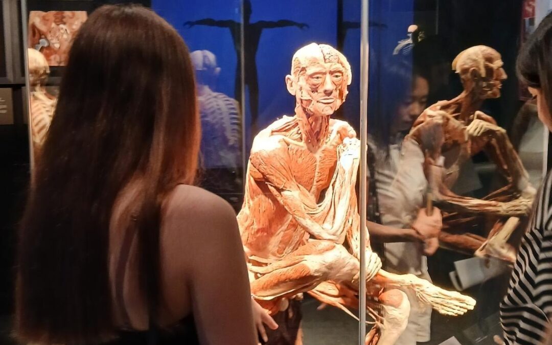 Besuch der Körperwelten-Ausstellung in Münster